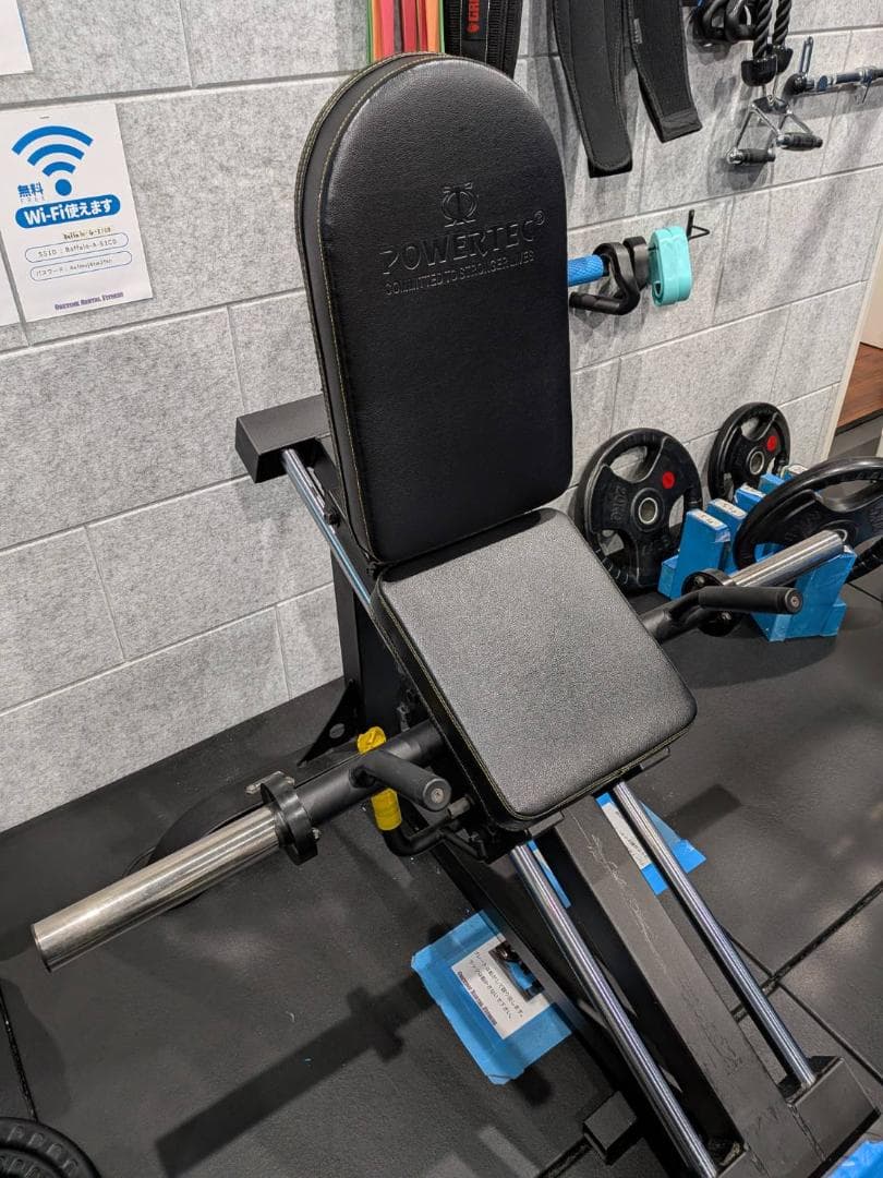 直接引取 Powertec パワーテック コンパクトレッグスレッド レッグ