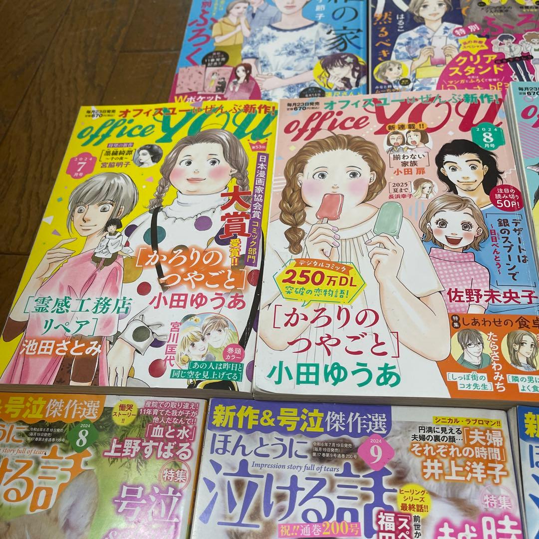 レディースコミック まとめ売り 全15冊 - メルカリ