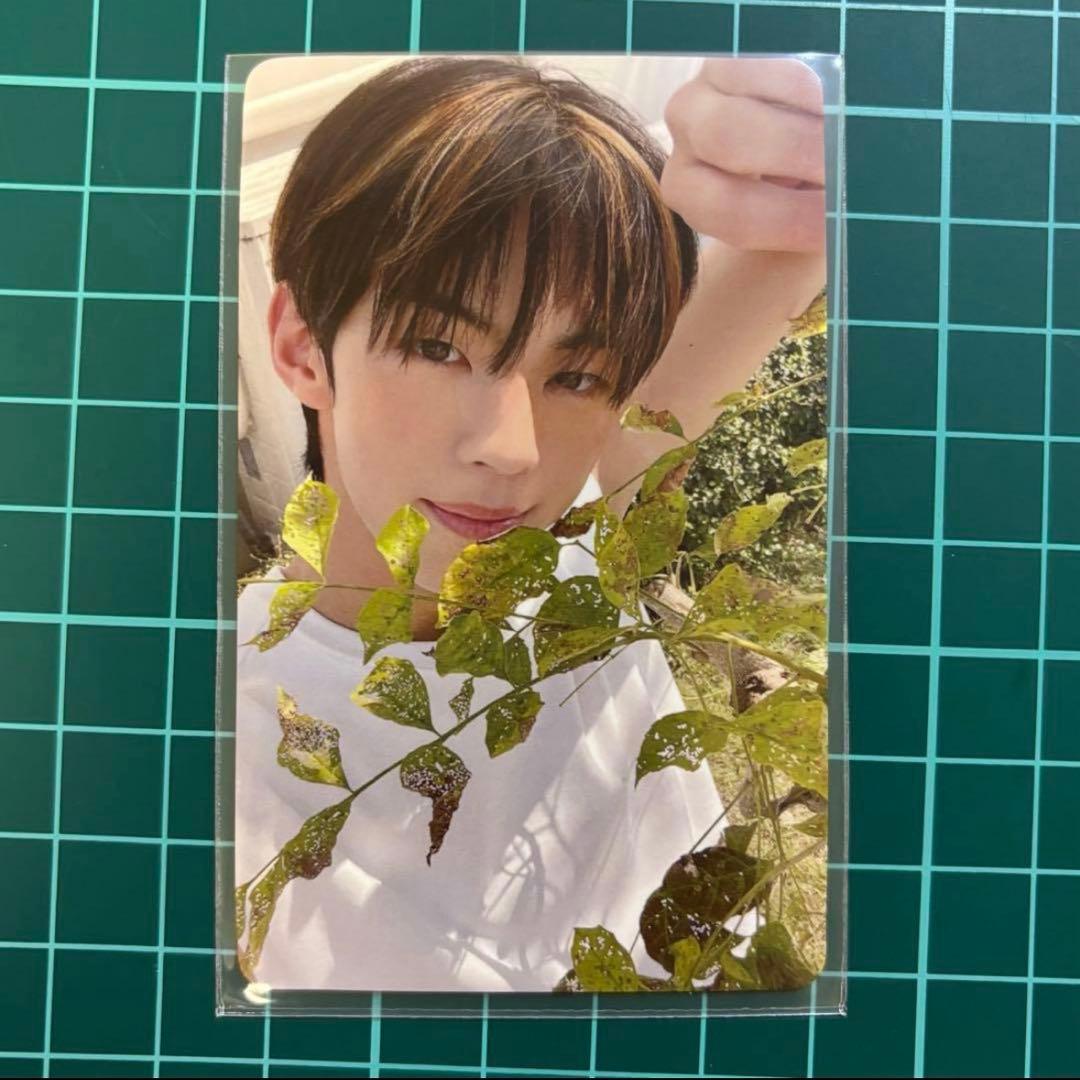 TWS Summer Beat ドフン トレカ ユニバ - メルカリ