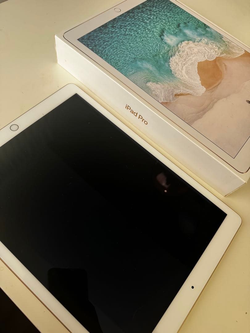 【訂正】iPad pro 12.9 256GB 第ニ世代　ジャンク品 iPad Pro 12.9 訳あり・ジャンク 11,000円 | ネット最安値の価格比較