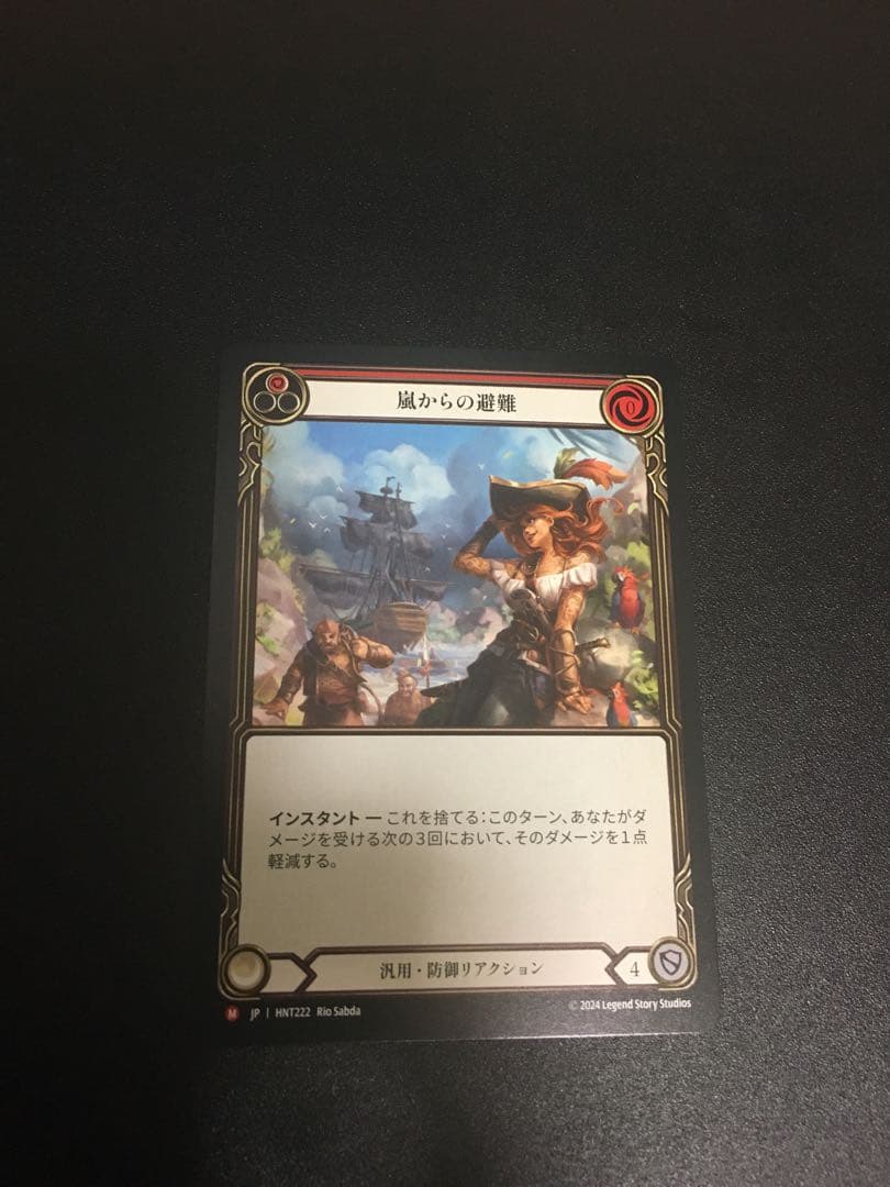 flesh&blood 嵐からの避難　日版NF Fab EN】[Generic] Shelter from the Storm/嵐からの避難 (赤)「M