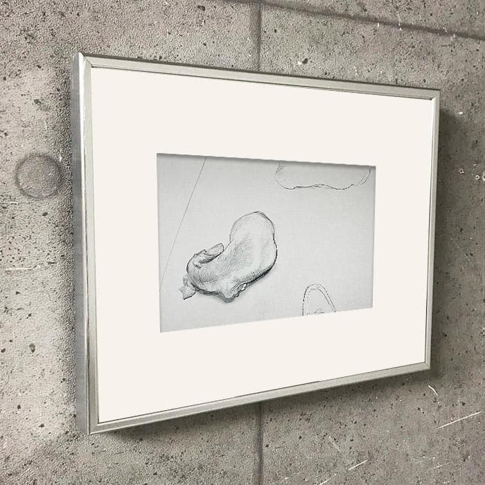 限定マット額装品/デイヴィッド・ホックニー/Stanley 1993 - メルカリ