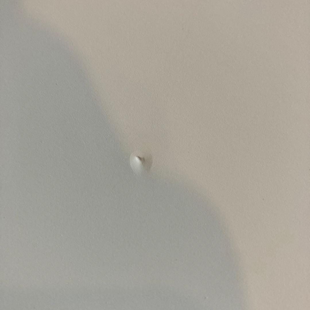 【新品アウトレット】SANTACRUZ 5.6Pumpkin