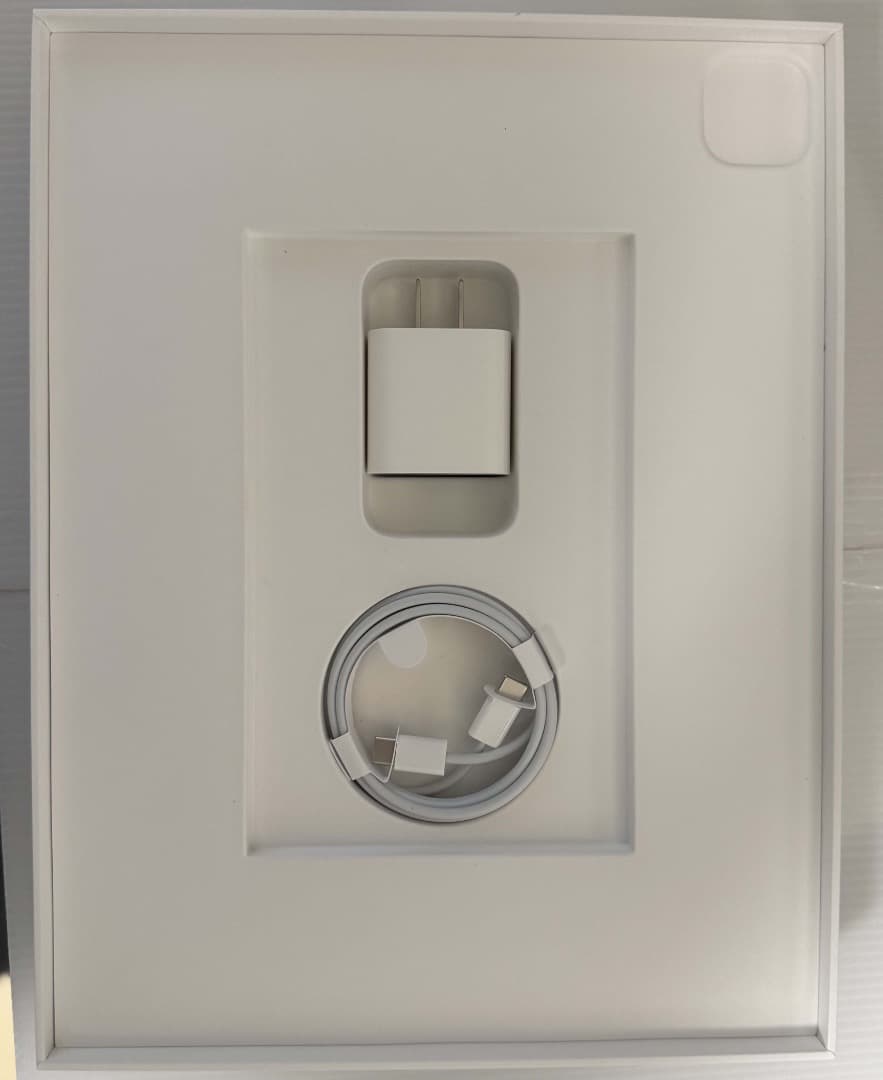 iPad Pro 12.9in 第５世代 256GB WiFi ほぼ新品