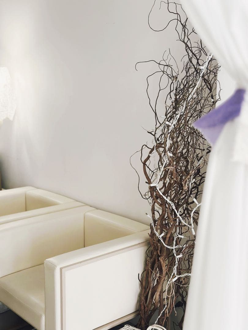 カッシーナ・イクスシーの 1P アームソファを2個セットでお願いします