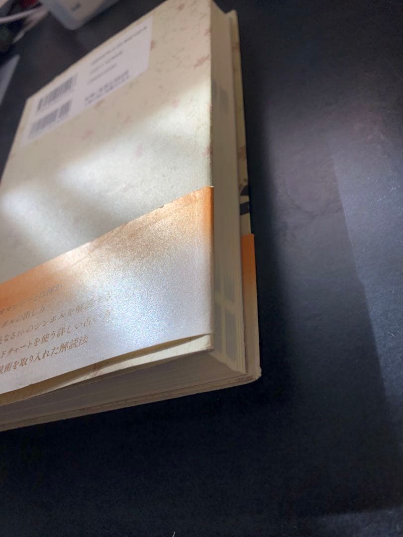 秘密のジオマンシー占い運命の裁判官が告げる128通りの未来 高橋桐矢 ヘイズ中村