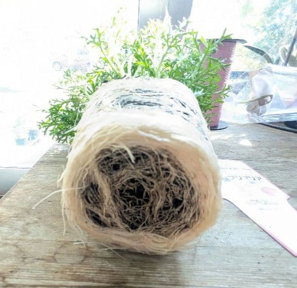 ♡べーしーる様♡