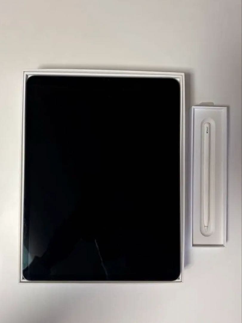 iPad Pro Wi-Fi 256GB Apple Pencil第2世代 Apple iPad Pro 11インチ 第2世代 Wi-Fi 256GB 2020年春モデル 価格