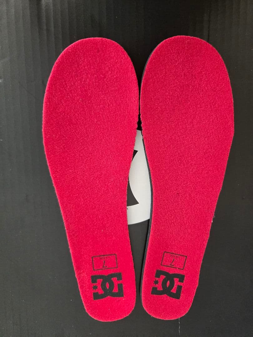 【美品】DC ディーシー BOAシステム SCOUT 2021 25.0cm