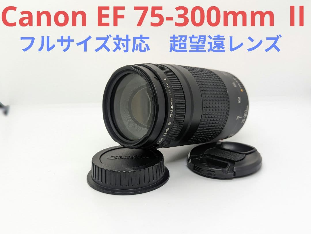 8月23日限定特価♪【超望遠レンズ】Canon EF 75-300mm Ⅱ Amazon.com : Canon EF 75-300mm f/4-5.6 III Telephoto Zoom Lens for