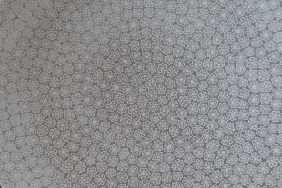 エルコーレモレッティ ミルフィオリ プレート ムリーニ 江波冨士子