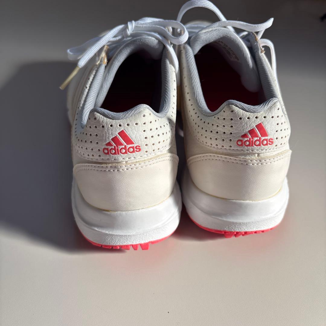 adidas ゴルフシューズ ホワイト/ピンク ルコックのシューズケース付