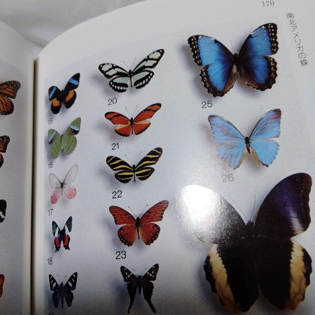 蝶の切手 文庫 カラー版 昭和 レア モルフォ ブルバタフライ