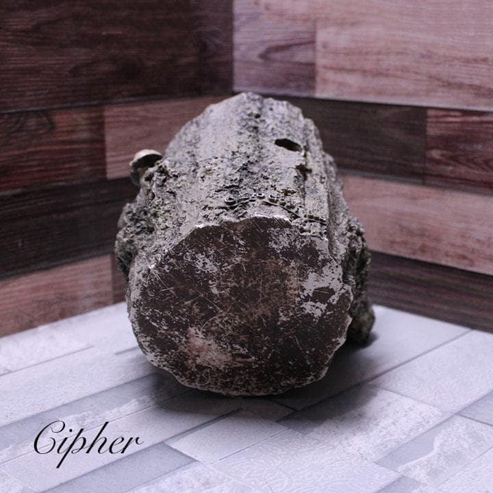 モルタル製 切株 植木鉢 植木鉢カバー レトロ雑貨 SETO CRAFT 廃盤②