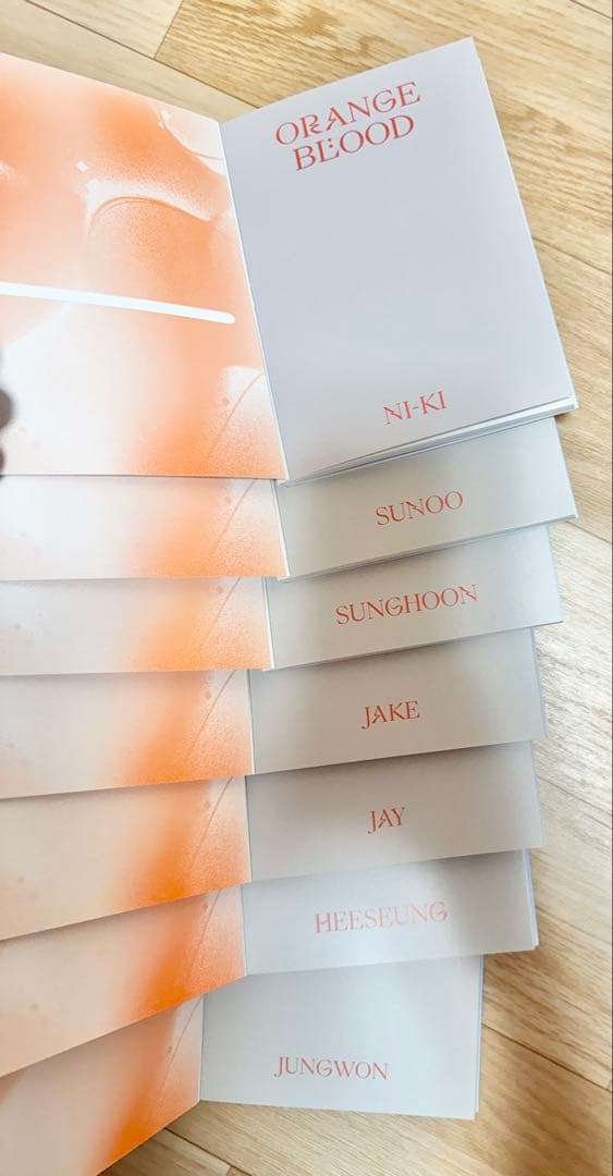 ENHYPEN CD DVD アルバム トレカ セット まとめ売り JAY ①