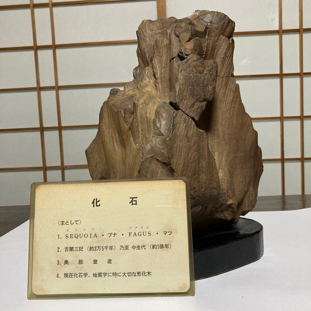 珪化木 木化石 古第三記～中生代 化石 奥能登産 形化木 台付 観賞用