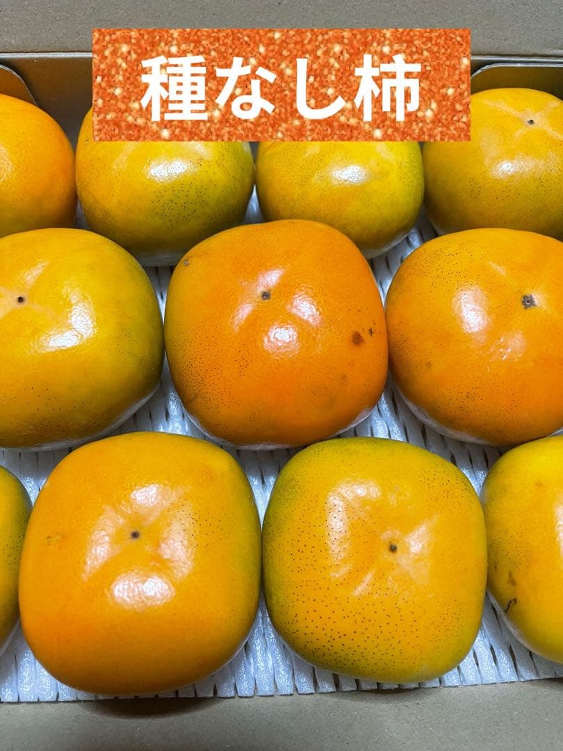 山形県産 種なし柿 - メルカリ