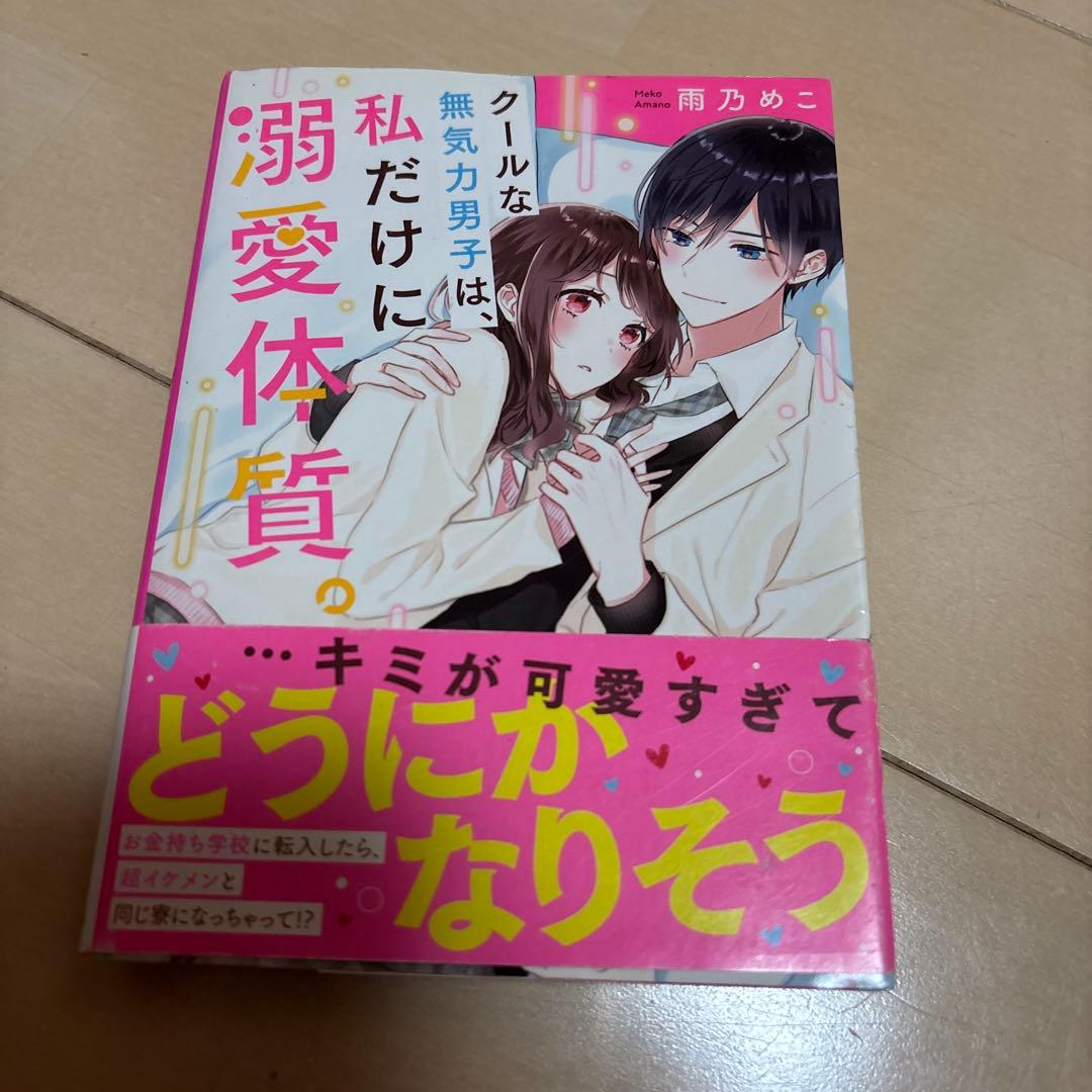 野いちご文庫 まとめ売り 恋愛小説 ケータイ小説 - メルカリ
