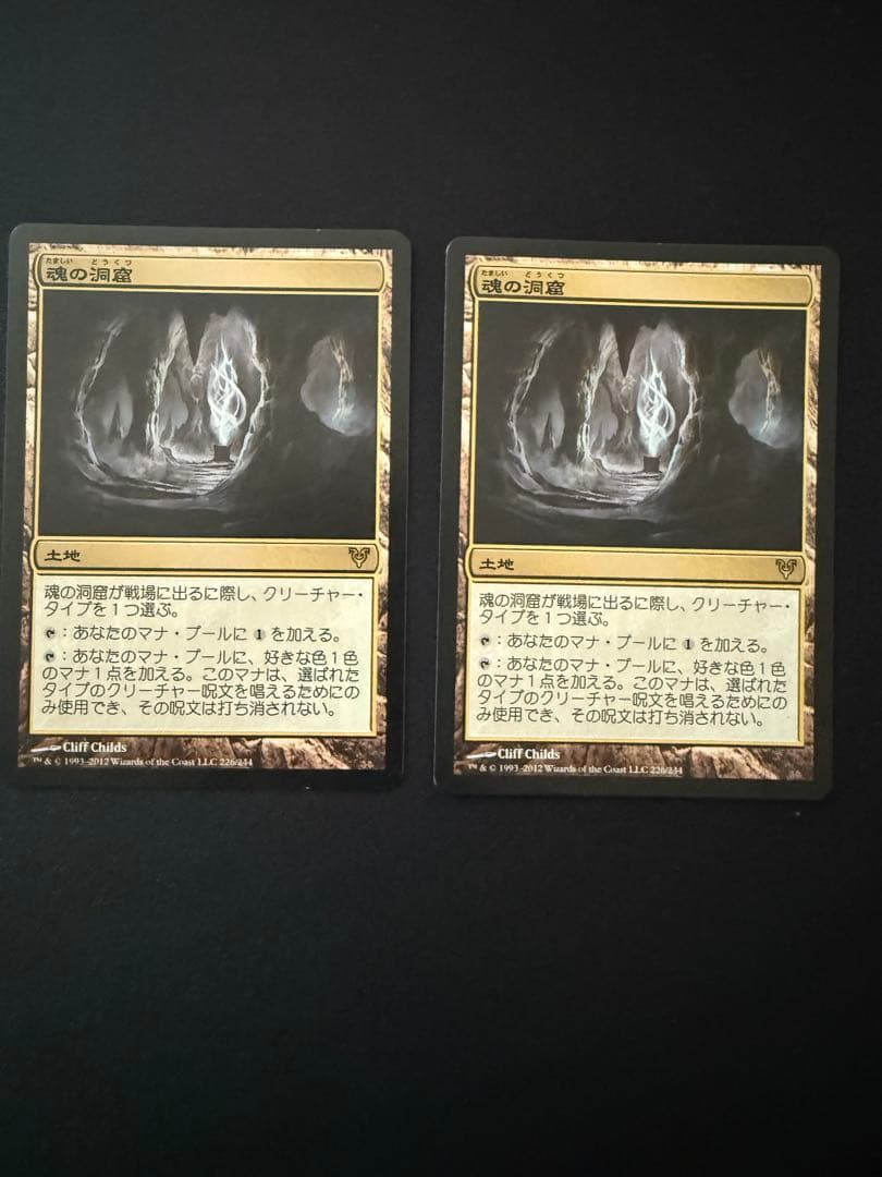 mtg 魂の洞窟　日本語2枚セット フルアート)魂の洞窟/Cavern of Souls《日本語》【2X2】