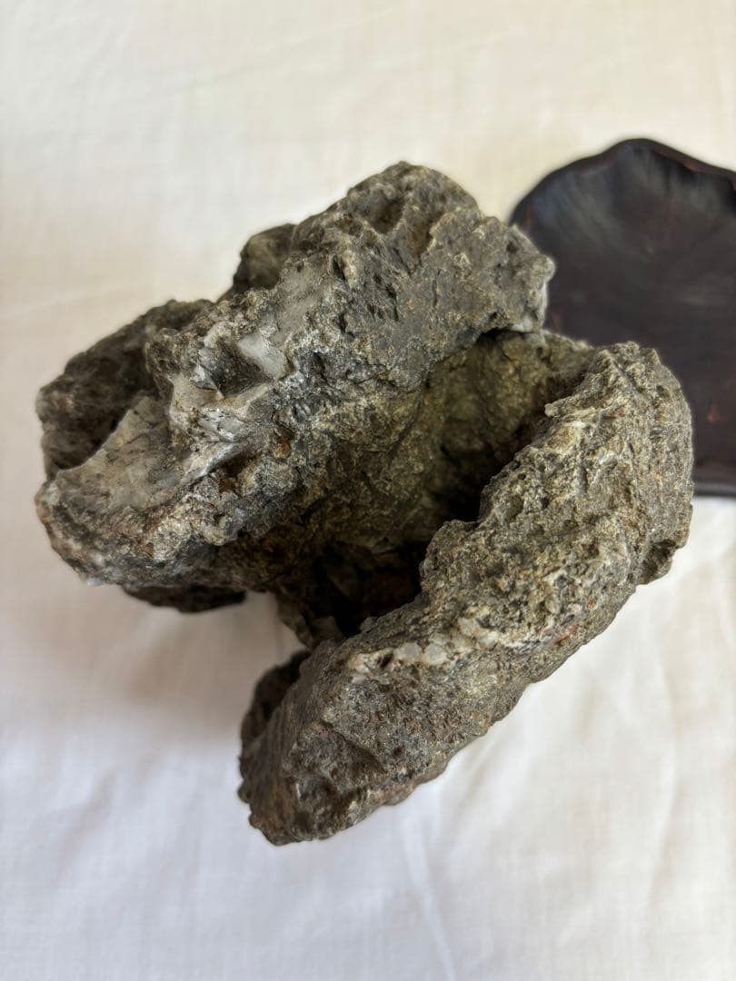 貴船洞窟茅舎石 鑑賞石 天然石 水石 自然石 置物 原石 石の置物 盆栽