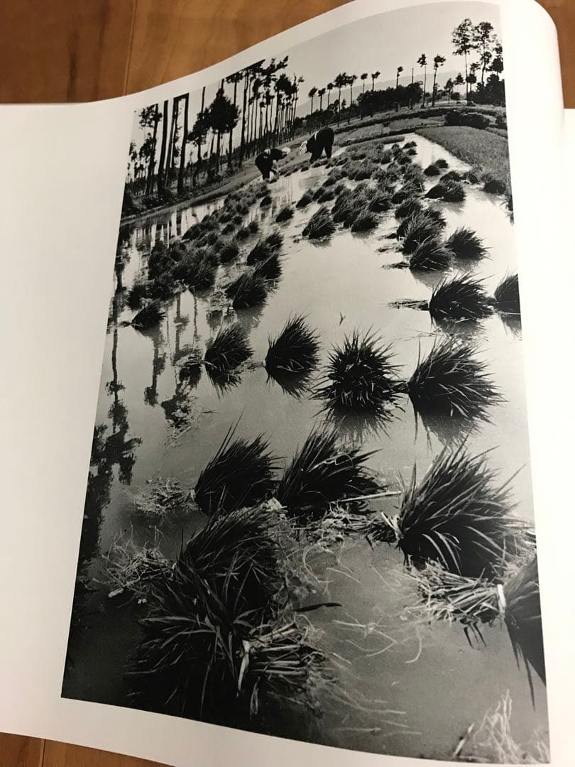 署名 岩波書店 濱谷浩 写真集成 地の貌・生の貌 1940－1980 - メルカリ