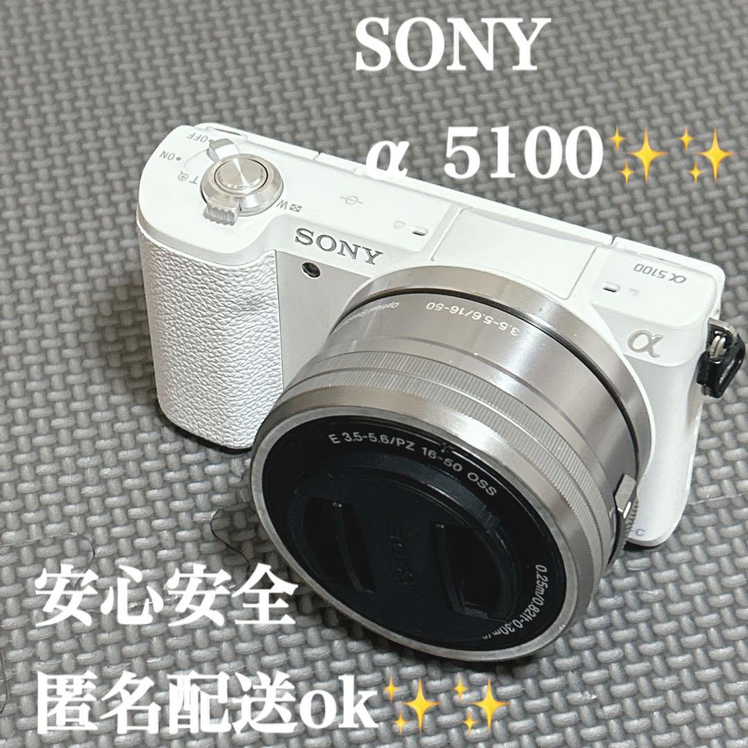 SONY α5100ミラーレス一眼 カメラパワーズームレンズ - メルカリ