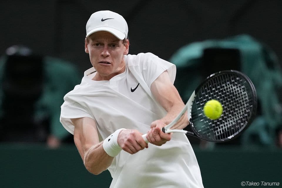 NIKE ナイキ テニス リストバンド ロングタイプ アルカラス シナー