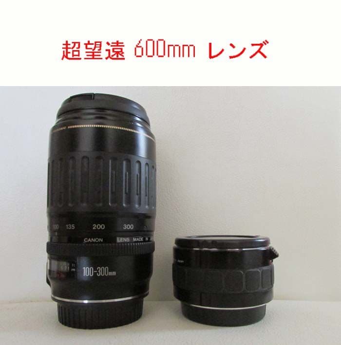 極上品 ☆超望遠600mmレンズ CANON EF100-300 ＋ 2倍レンズ ☆超
