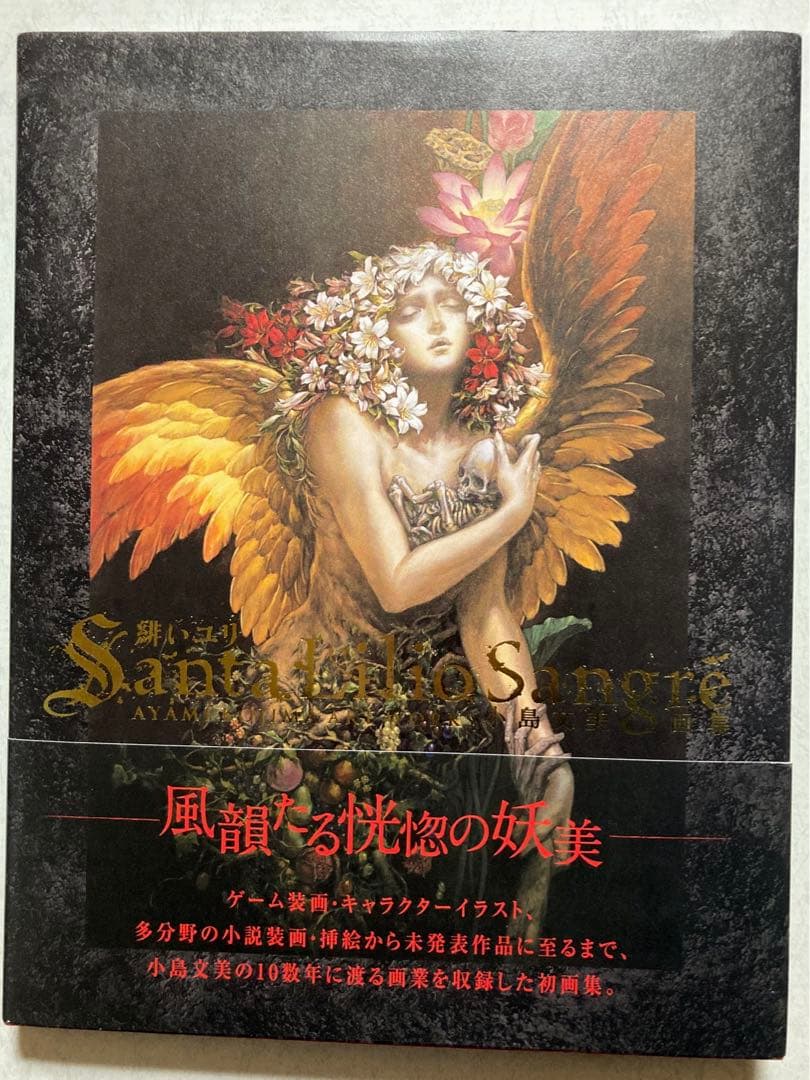初版Santa Lilio Sangre緋いユリ小島文美 AyamiKojima - メルカリ