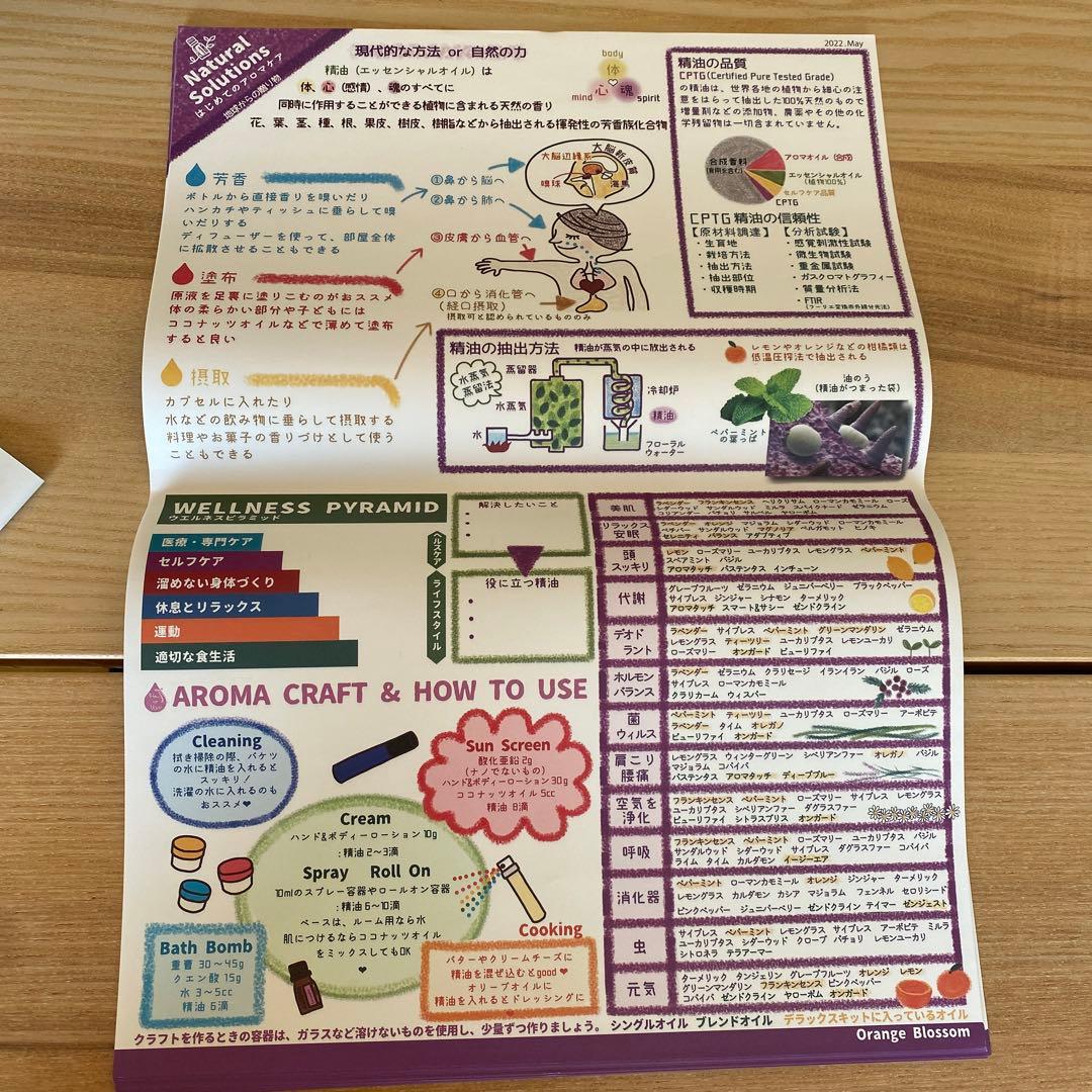 doTERRA ドテラ ナチュラルソリューションズ 説明用紙45枚 - メルカリ