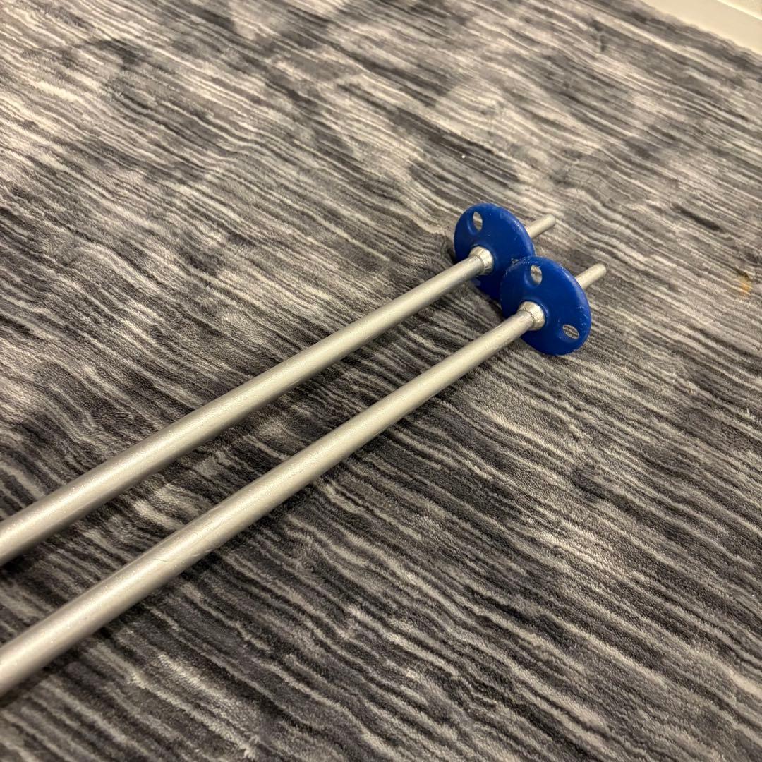 未使用級極美品】SALOMON DEMO 10 P3V スキー板 170cm - メルカリ