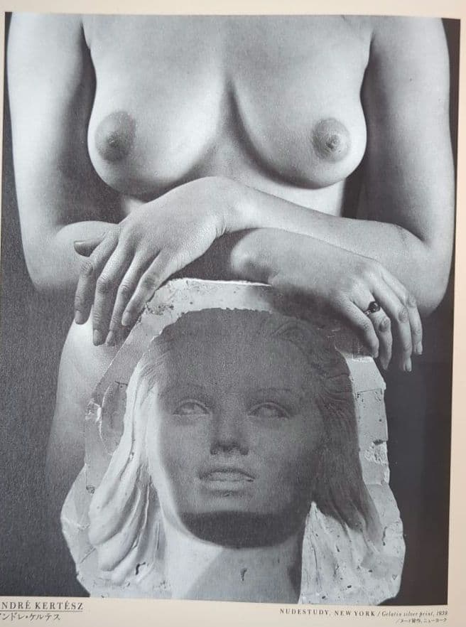 世界写真全集 全12巻揃い 大判写真集 集英社 1982-1984