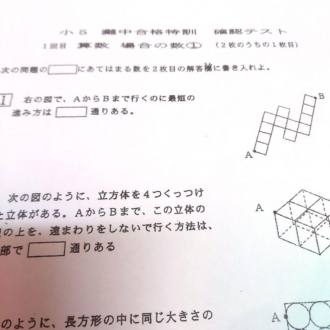 浜学園 小5 算数 灘中合格特訓 確認テスト 1～12回 - メルカリ