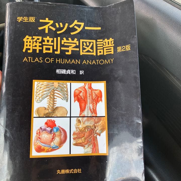ネッター解剖学図譜 - メルカリ