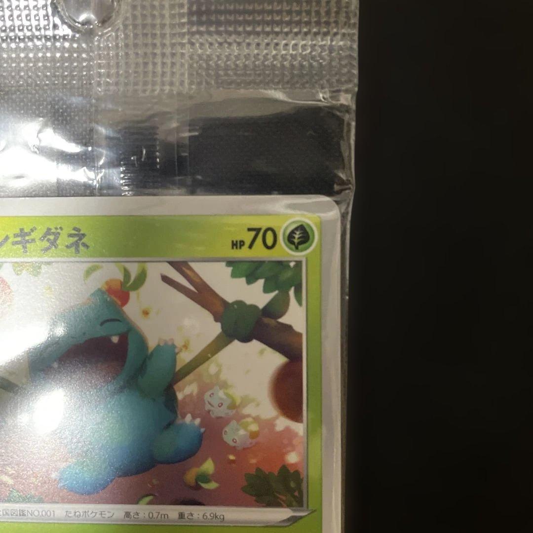 ポケモンカード フシギダネ イラストコンテスト 2022 プロモ 未開封