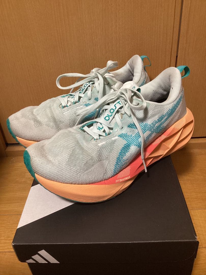 asics アシックス ノヴァブラスト5 メンズ 26.0cm US8