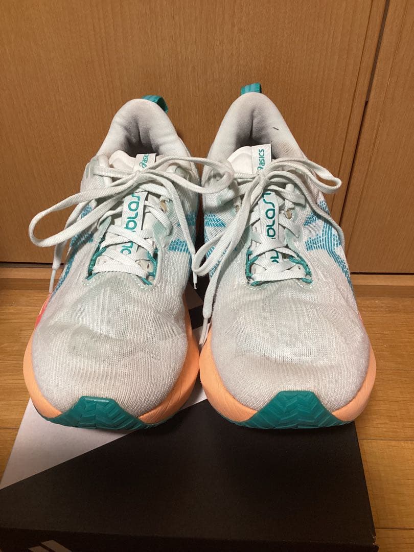 asics アシックス ノヴァブラスト5 メンズ 26.0cm US8