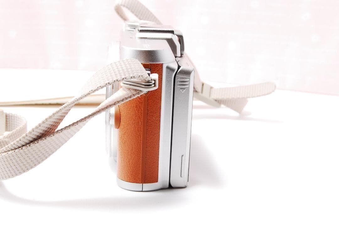 〓シャッター数2536枚〓オリンパス PEN E-PL8 ボディ ミラーレス