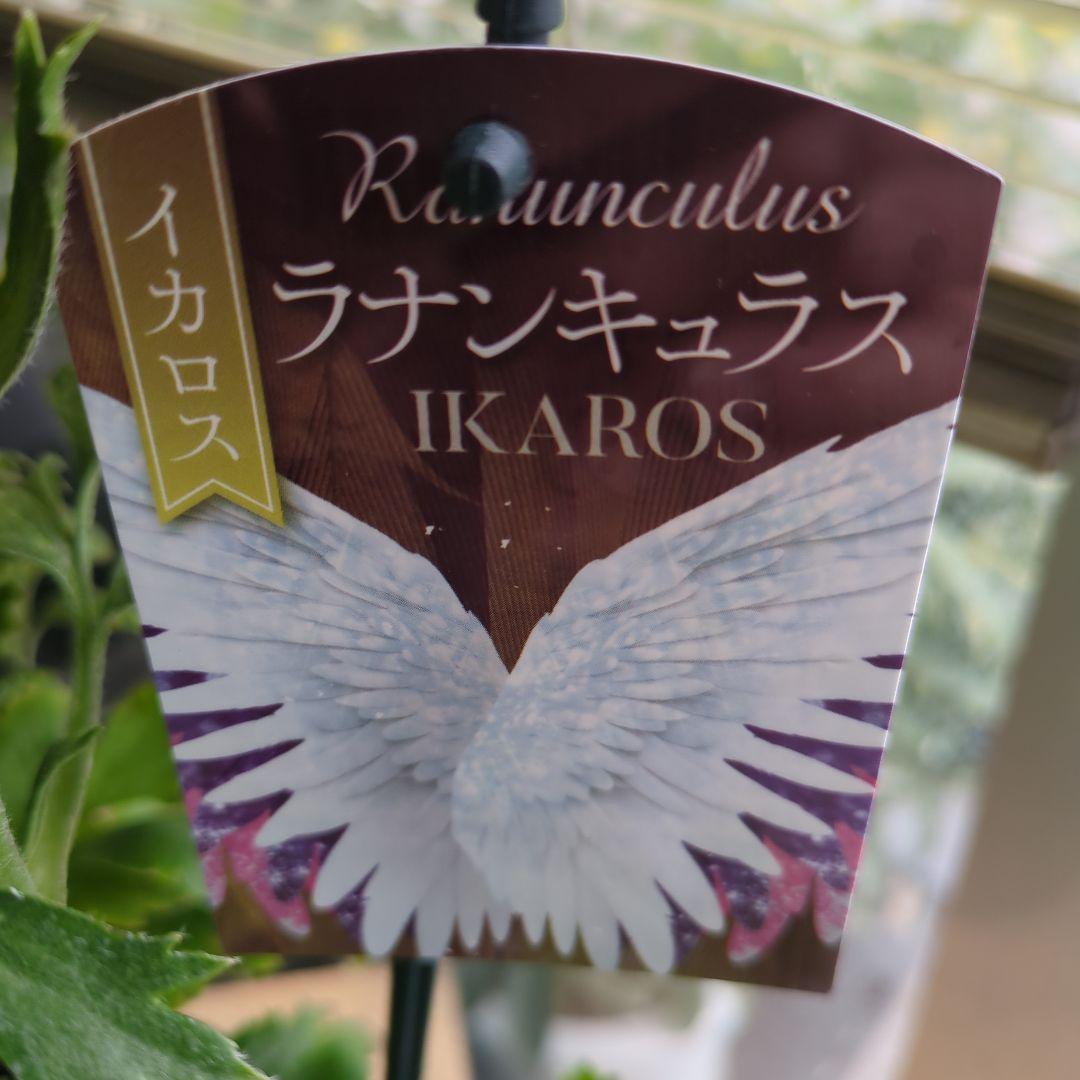 ♡みあり様♡13周年感謝価格✨✨