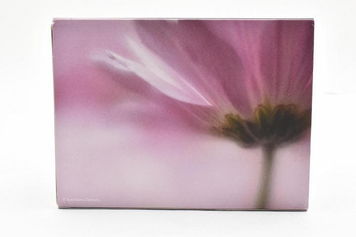 15238E ☆新品☆ レンズベビー 56mm F1.6 LENSBABY - メルカリ