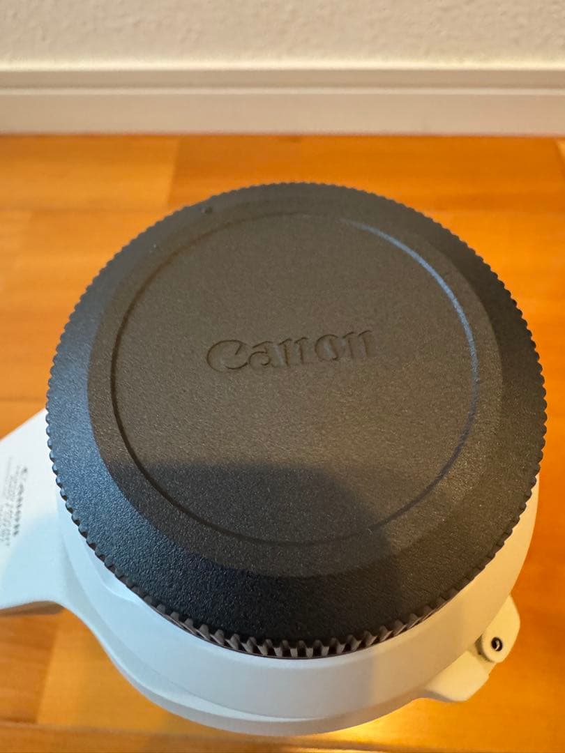 Canon RF100-500mm F4.5-7.1 L IS USM キャノン