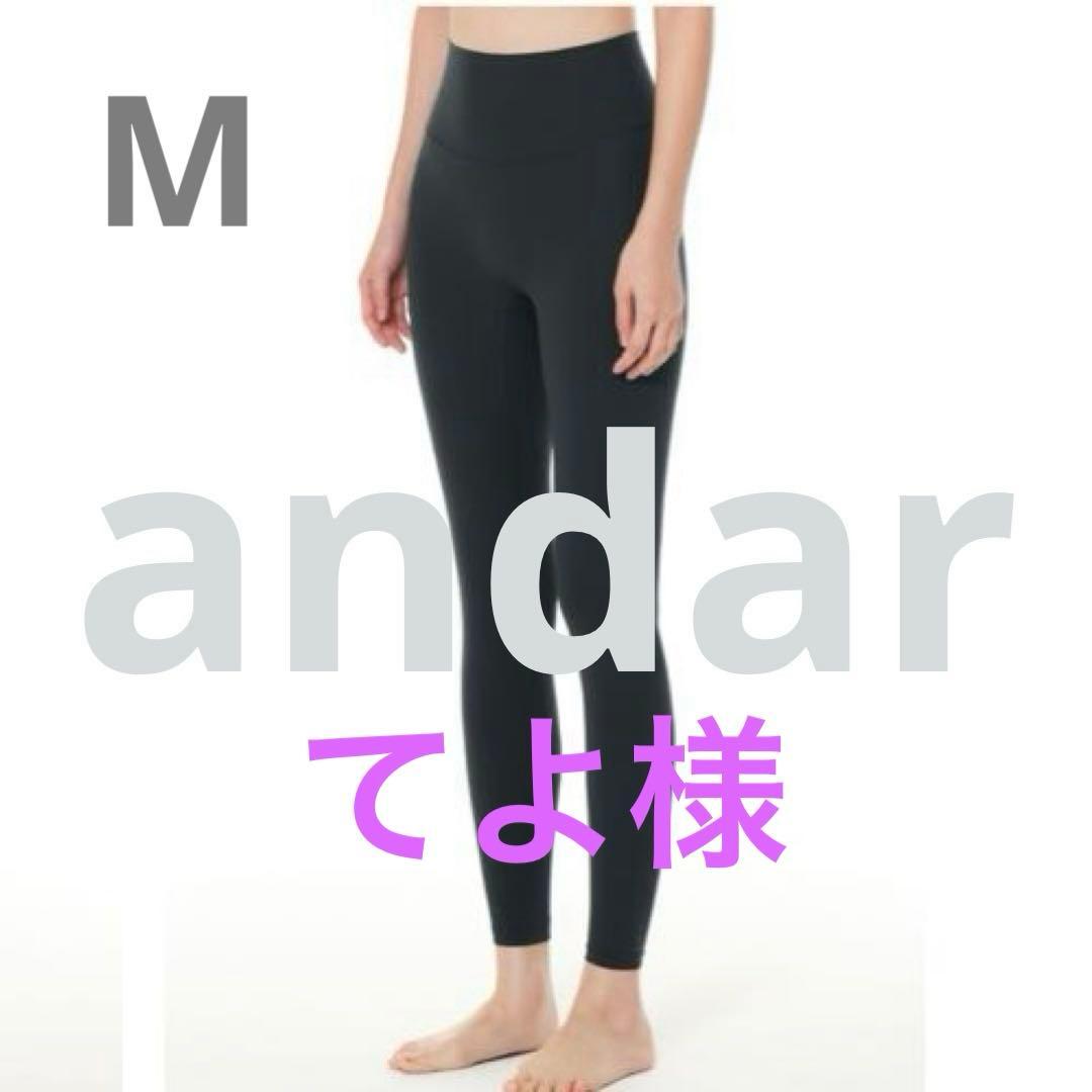 【新品】andar アンダール エアークーリング レギンスM 新品□アンダール□エアクーリングGINIレギンス【 L 】マウンテン