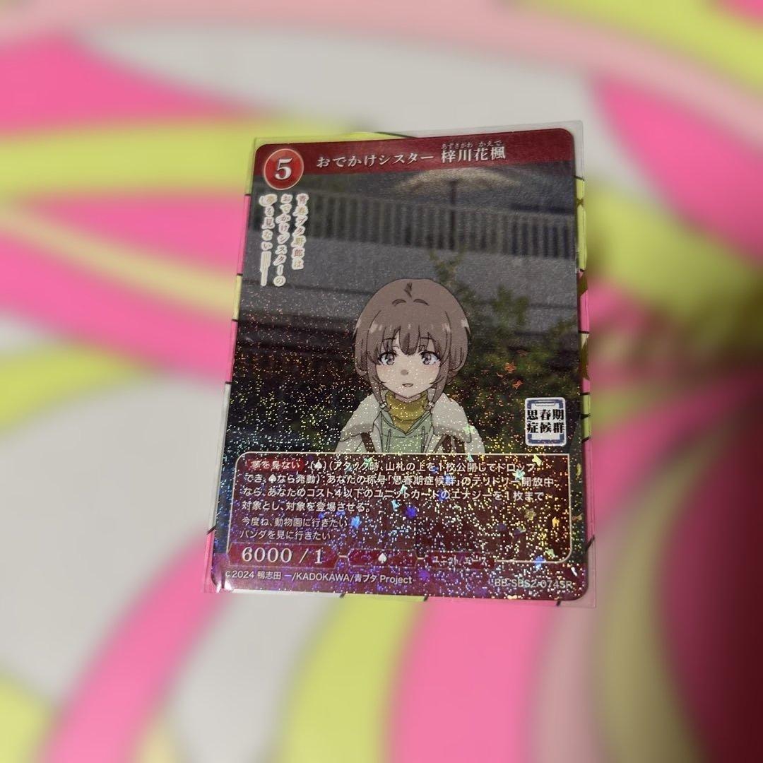 ビルディバイドブライト 青春ブタ野郎 - メルカリ