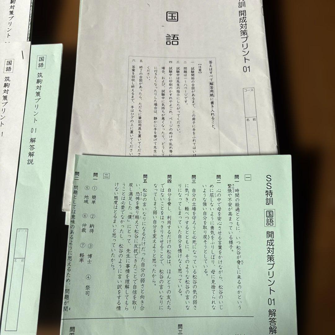 SAPIX 6年国語 SS特訓夏期集中最難関コーステキスト - メルカリ