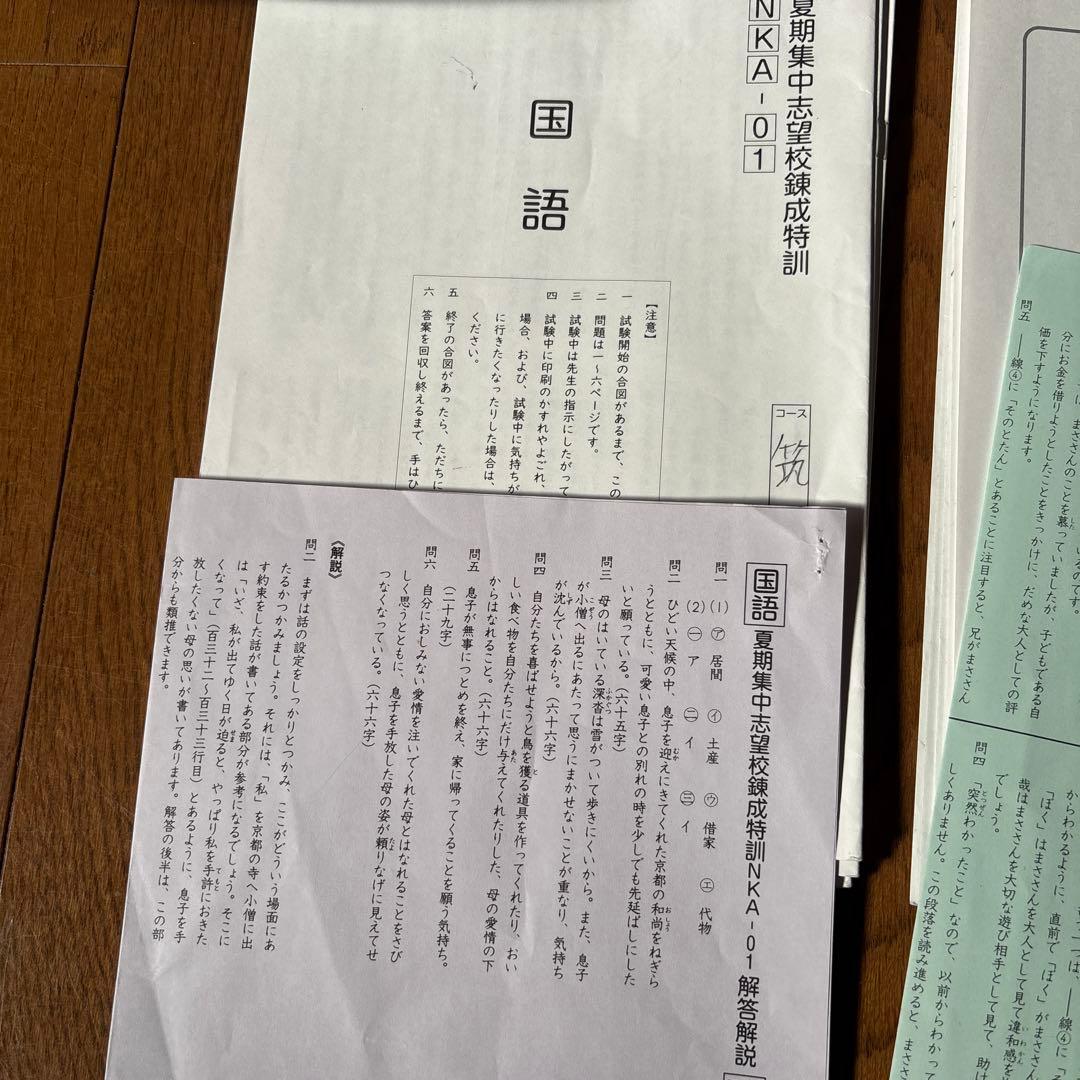 SAPIX 6年国語 SS特訓夏期集中最難関コーステキスト - メルカリ