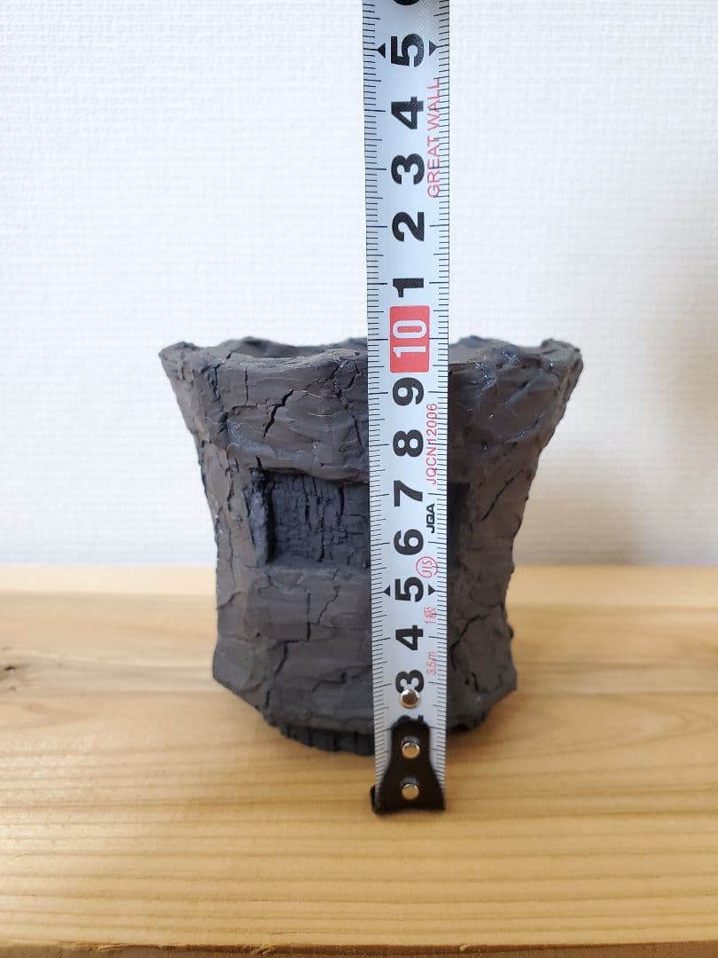 FABASOPONTIGO-KEIICHI SATO × BOTANIZE KIBOKU 佐藤恵一