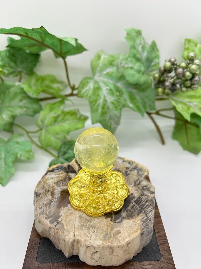 珪化木プレート ペトリファイドウッド No.901 - メルカリ