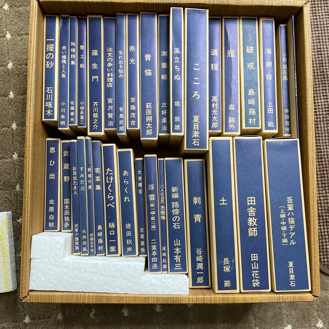精選 名著復刻全集近代文学館 ほぼ未使用 - メルカリ
