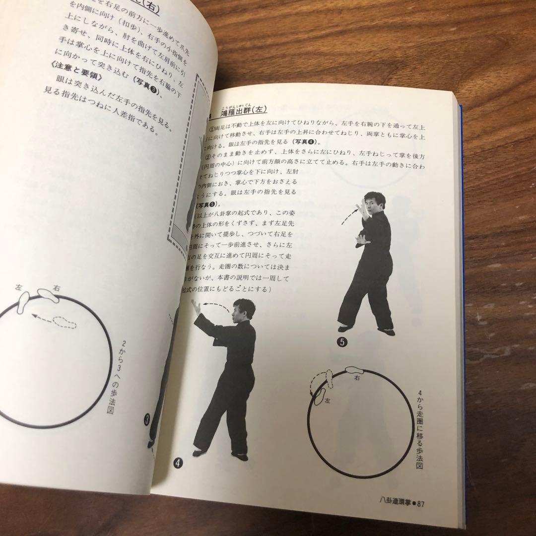 神秘の拳法 八卦掌入門 松田隆智 日東書院本社 - メルカリ