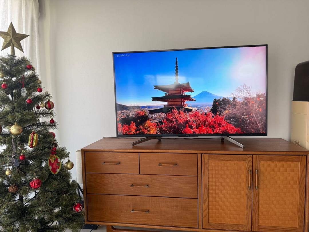 【正常動作・美品】SONY BRAVIA KJ-49X8500G 2019年製 X8500Gシリーズ | テレビ ブラビア | ソニー